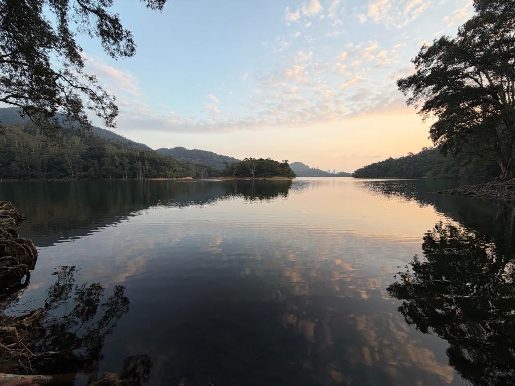 Sunset at Shing Mun Country Park's Reservoir and the Paper Bark Tree Corridor